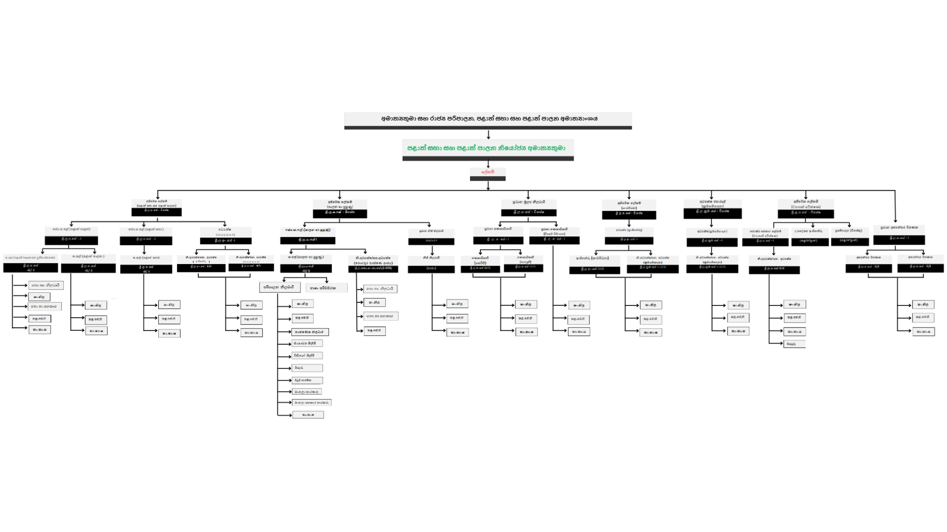 MOHA Organizational Structure en